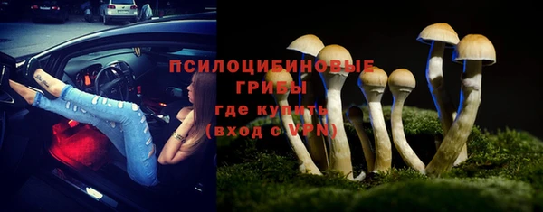 мяу мяу мука Ладушкин