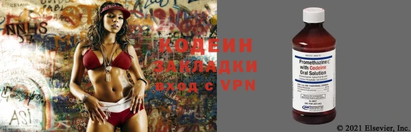дурь Лабытнанги