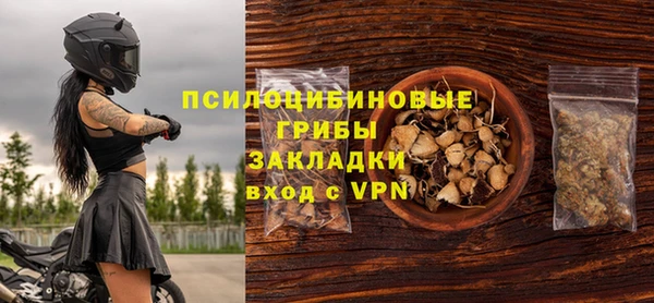 дурь Лабытнанги