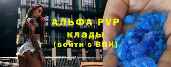 ГАЛЛЮЦИНОГЕННЫЕ ГРИБЫ Кукмор