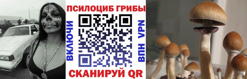 MEGA   Мелеуз  darknet Telegram  купить наркотики сайты  Галлюциногенные грибы GOLDEN TEACHER 